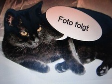 3 Gastronomie Tischdecken Baumwoll - Damast grün tannengrün