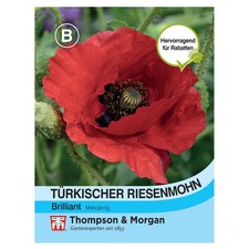 Blumensamen Türkischer