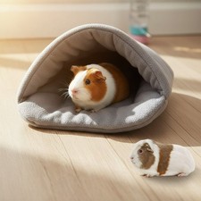 Meerschweinchen Haus