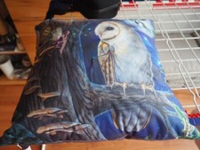 kissen 40x40  Eulenmotiv mit Beleuchtung