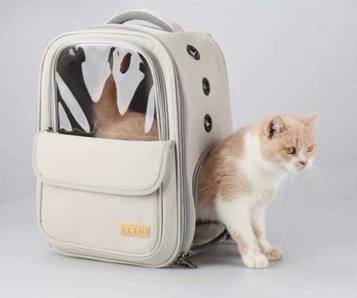 Haustier rucksack - haustier,