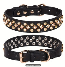 Hundehalsband goldene Nieten