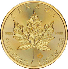 Maple Leaf 1 Unze Goldmünze