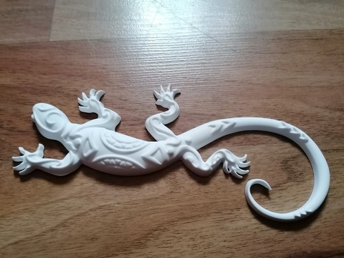 Echse eidechse salamander - eidechse,