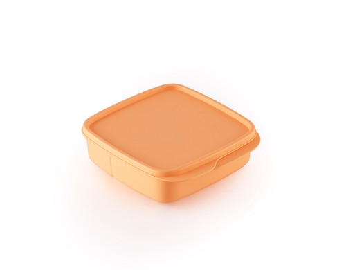 Tupperware lunch box clevere - tupperware,