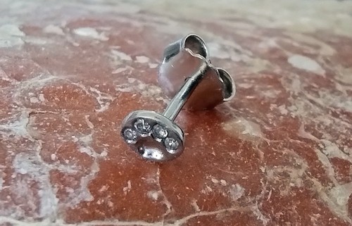 Ohrstecker pfote tierpfote - ohrstecker,