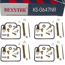 Vergaser Reparatursatz für