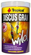 Tropical discus gran wild - gran,