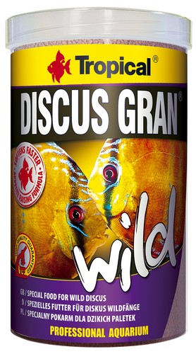 Tropical discus gran wild - gran,