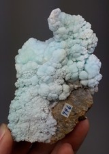 Eisenblüte (hellblau) -