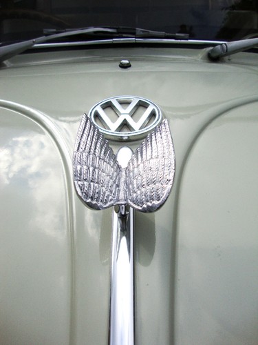 Phoenix wings wappen emblem - wappen,