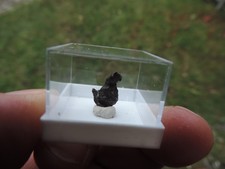 Meteorit - Sikhote Alin aus