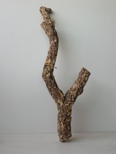 Korkast ,Vollkorkast