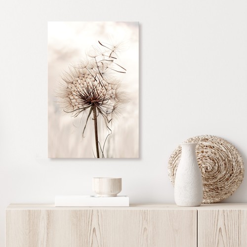 Pusteblume natur pflanzen - pusteblume,
