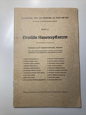 30er Jahre Deutsche