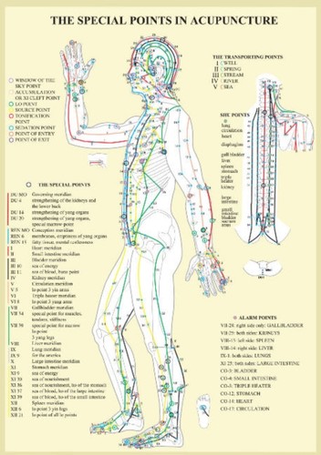 Special points acupunture - points, in
