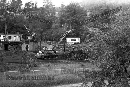 Fotoabzug 10x15 dr - pe-fotoabzug,