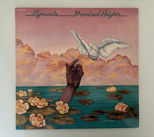 Cymande promised heights - promised,