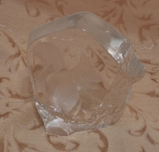 GRAVIERTER EICHHÖRNCHEN