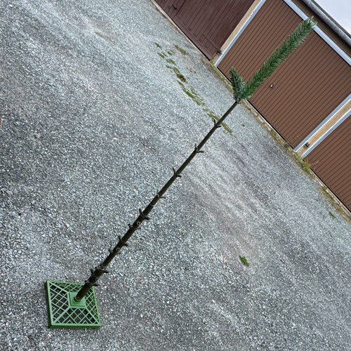 Künstlicher weihnachtsbaum - künstlicher,
