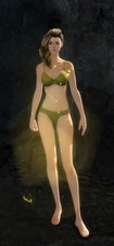 Guild wars auri infusion - 2,