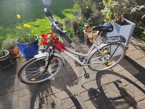 Korus trekkingrad - trekkingrad, 26"