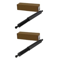 2x GASFEDERN HECKKLAPPE