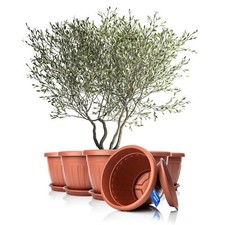 6x Blumentopf Balkonkasten