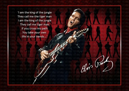Elvis presley 68 comeback - presley,