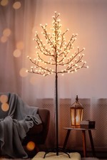 Kirschblütenbaum Sakura Baum