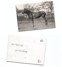 (b73589a247)   Trakehnen? Sambleben? Cadinen? 1937, Nachlass Otto von Hante