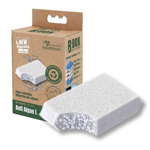 Aquatlantis box anti - algae, l