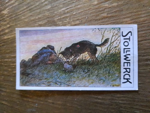 Stollwerck sammelbild album - sammelbild,,