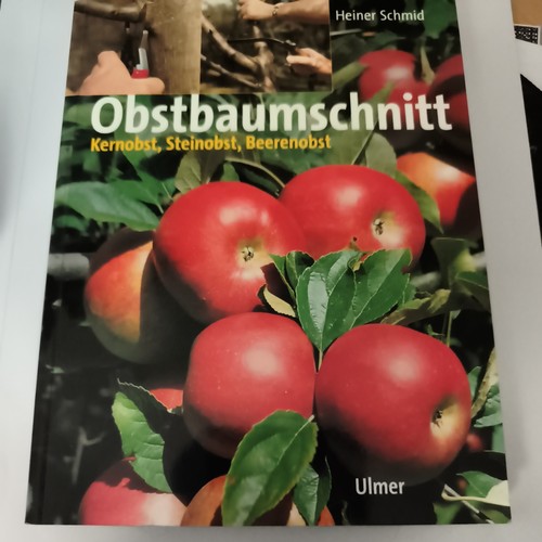 Obstbaumschnitt kernobst - obstbaumschnitt.,
