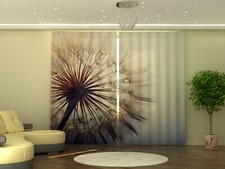 Fotogardine Pusteblume