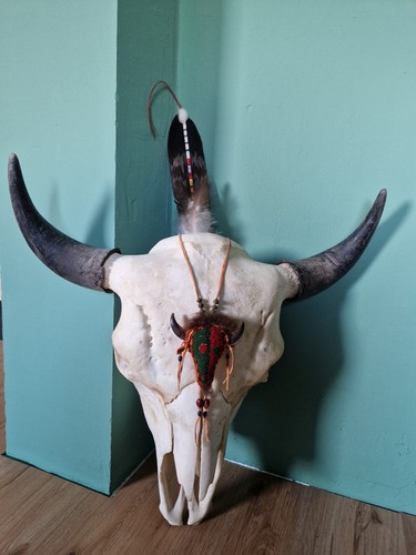 Nordamerika trophäe bison - nordamerika,