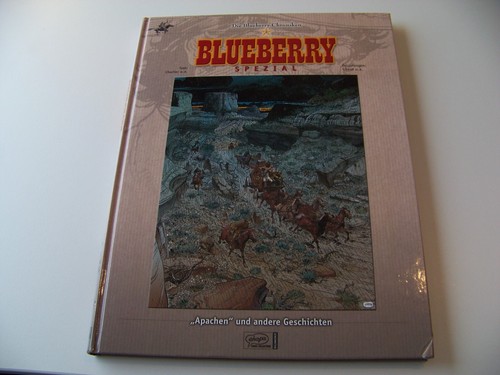 Die blueberry chroniken band - die,