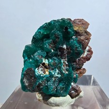 Seltene Dioptas auf Matrix