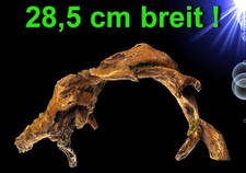 Aquarium Deko 🐠 BOGEN WURZEL 🐠 Holz Höhle Mopani Ast Baum Terrarium Zubehör