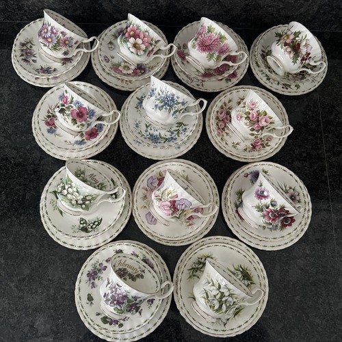 Royal albert blume des - albert,
