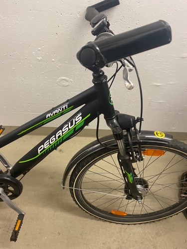 Fahrrad pegasus - fahrrad, i