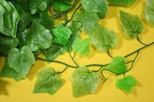 RESTPOSTEN 47 METER EFEU