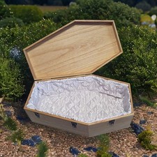 petbye Holz Haustiersarg Natur