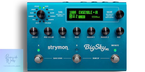 Strymon bigsky reverb pedal - reverb,