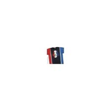 Obama Inauguration Flag -