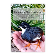 Buch Fachbuch Chinesische