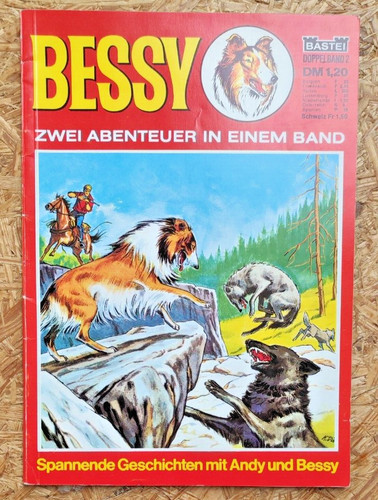 Bessy doppelband dm - bessy,