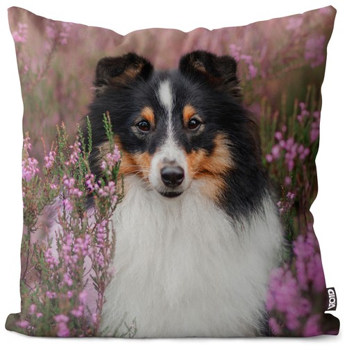 Sheltie kissenhülle shetland - kissenhülle,