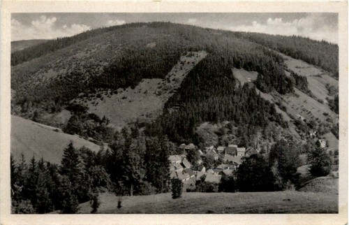 Mellenbach thür wald - mellenbach/thür.wald, -381830
