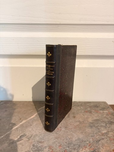 Braunes buch studie - braunes,